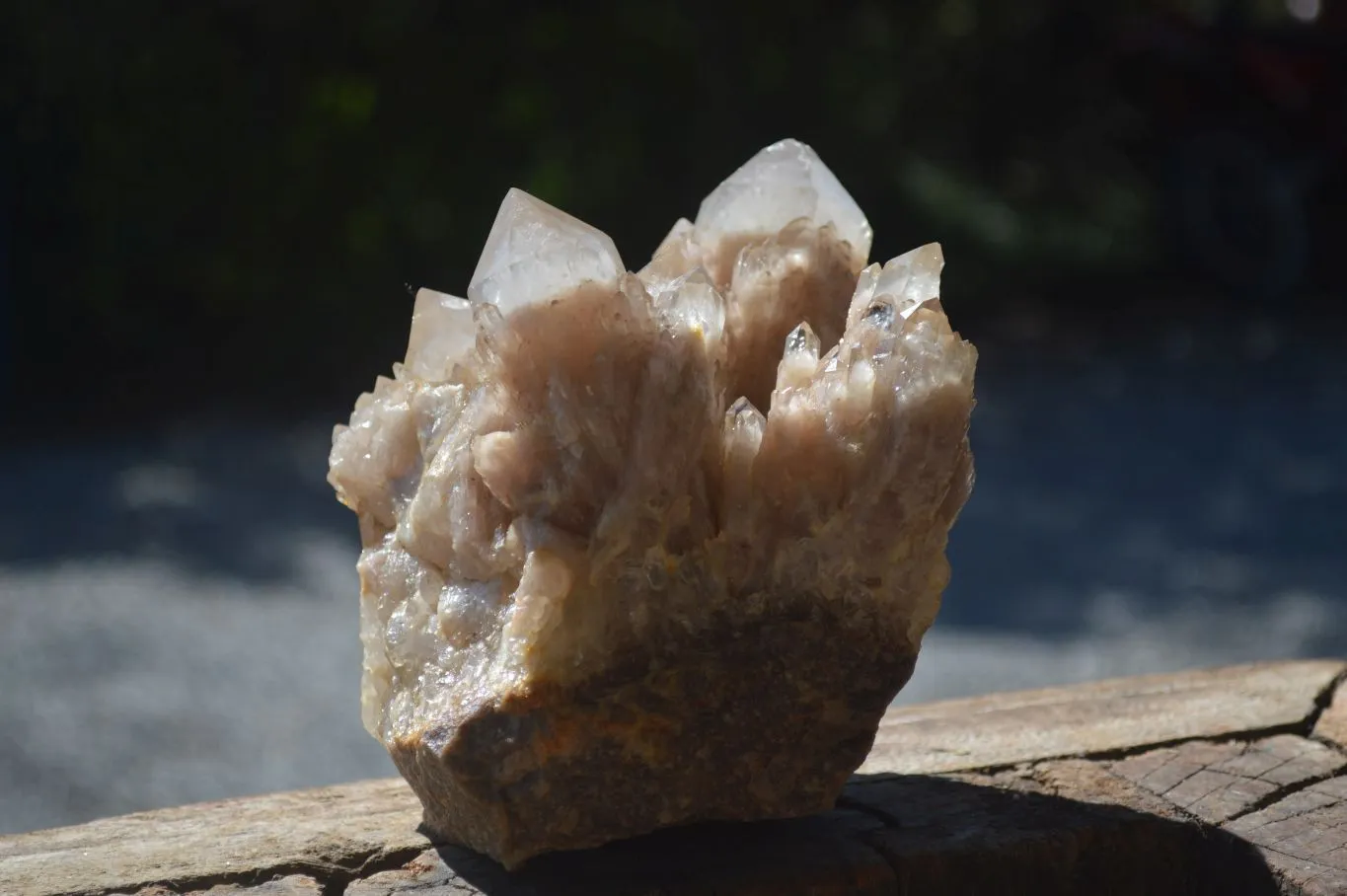 Natural Cascading White Phantom Smokey Quartz Cluster x 1 From Congo