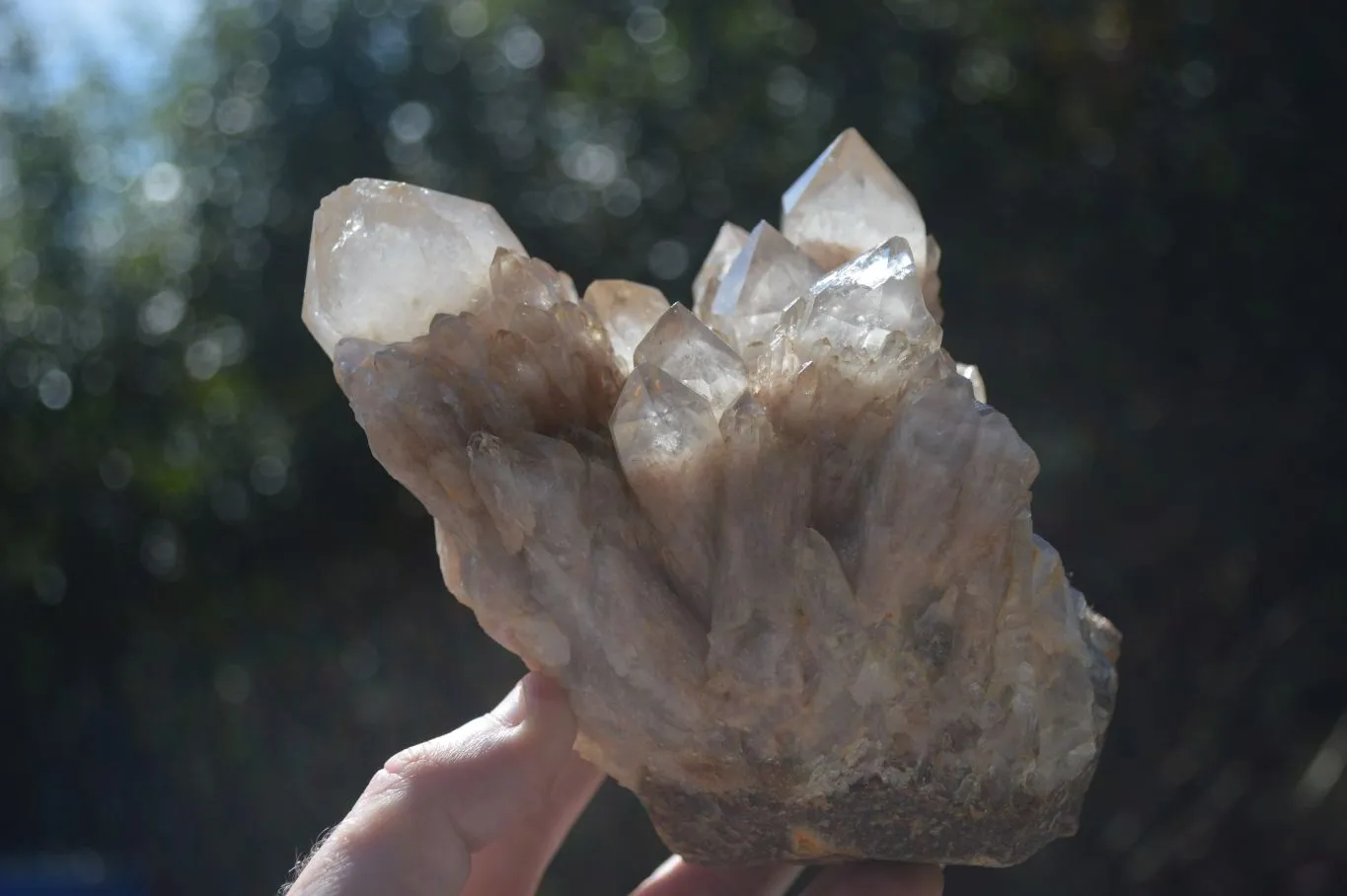 Natural Cascading White Phantom Smokey Quartz Cluster x 1 From Congo