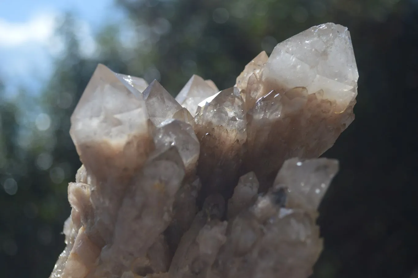 Natural Cascading White Phantom Smokey Quartz Cluster x 1 From Congo