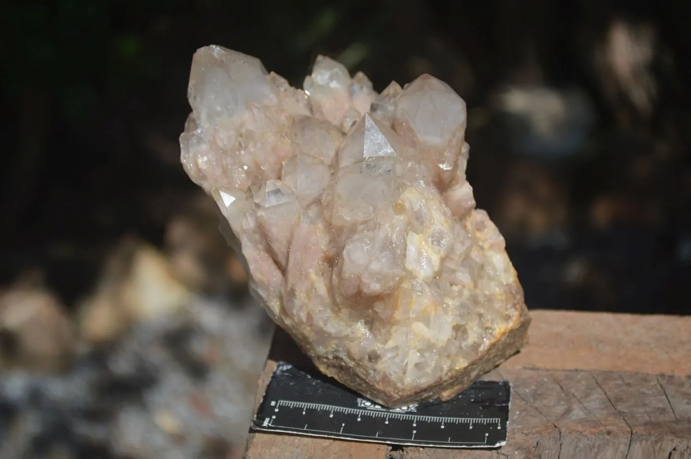 Natural Cascading White Phantom Smokey Quartz Cluster x 1 From Congo
