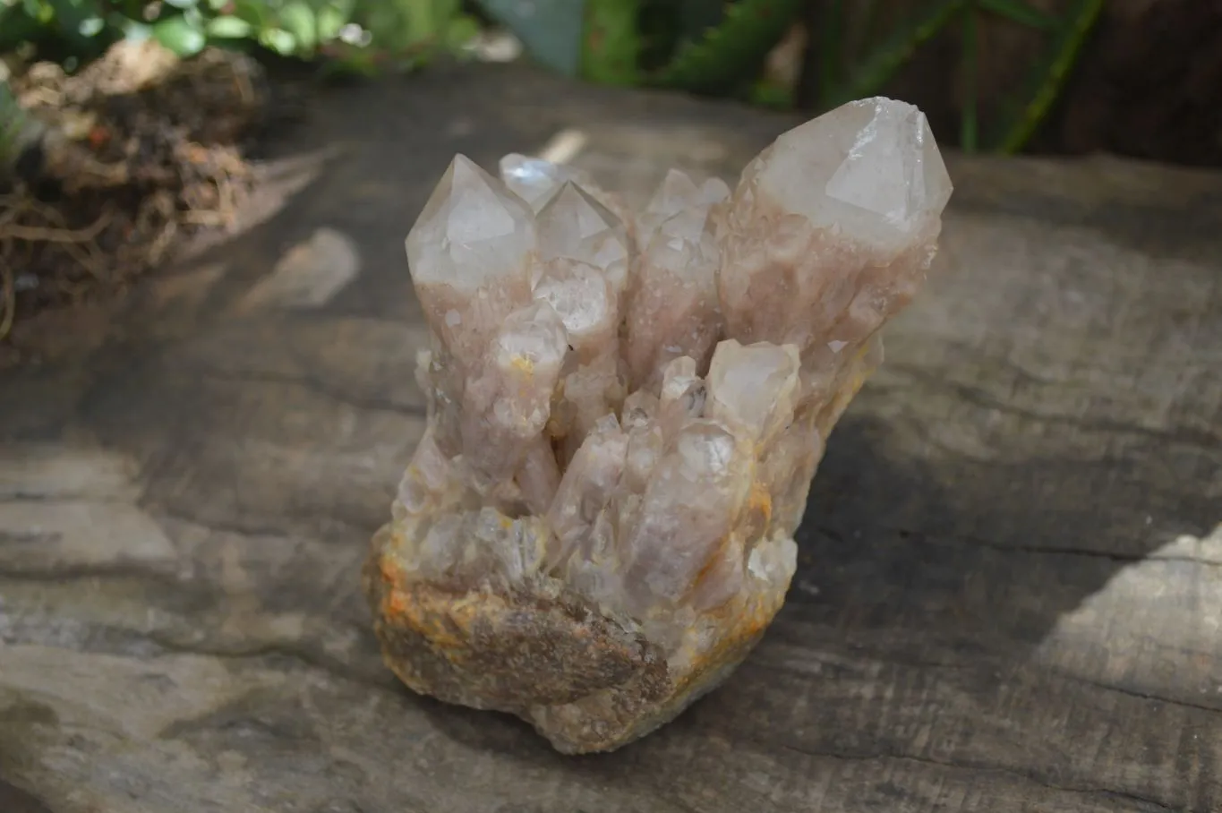 Natural Cascading White Phantom Smokey Quartz Cluster x 1 From Congo