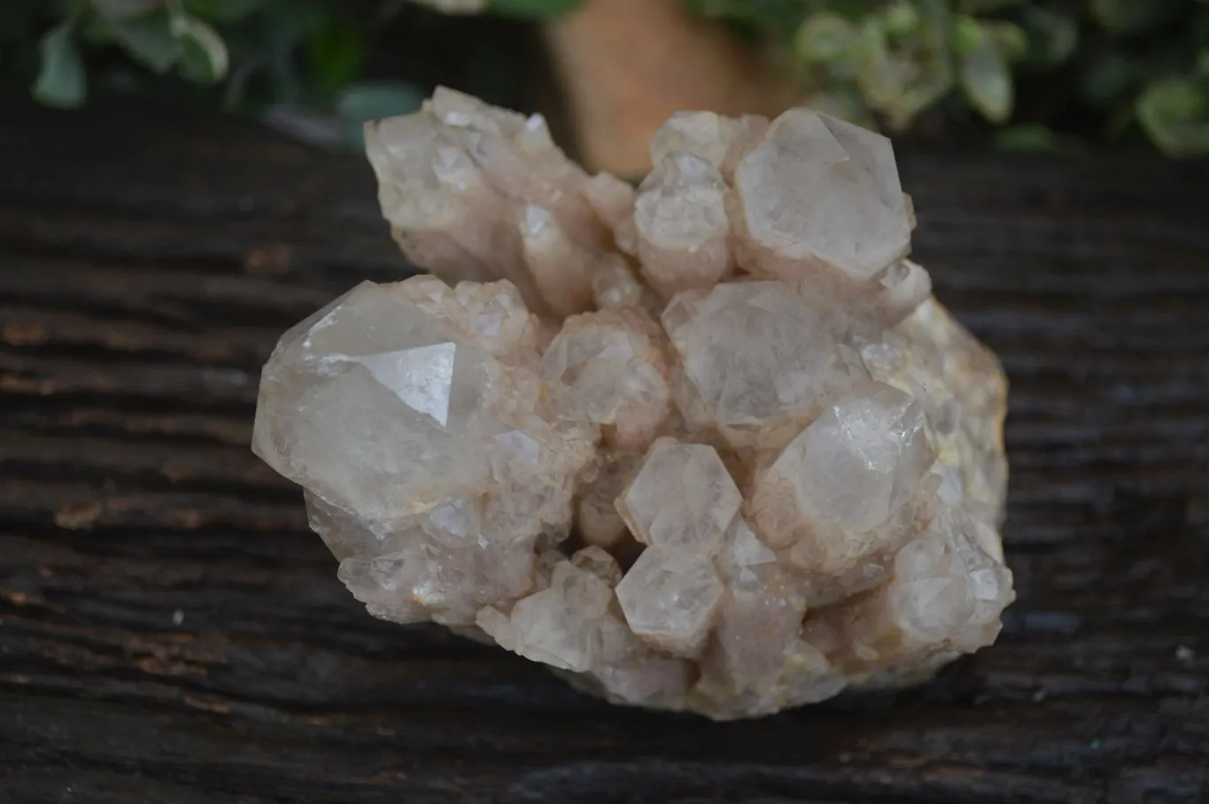 Natural Cascading White Phantom Smokey Quartz Cluster x 1 From Congo