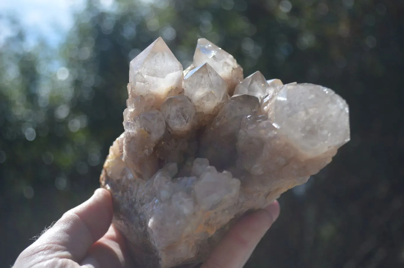 Natural Cascading White Phantom Smokey Quartz Cluster x 1 From Congo