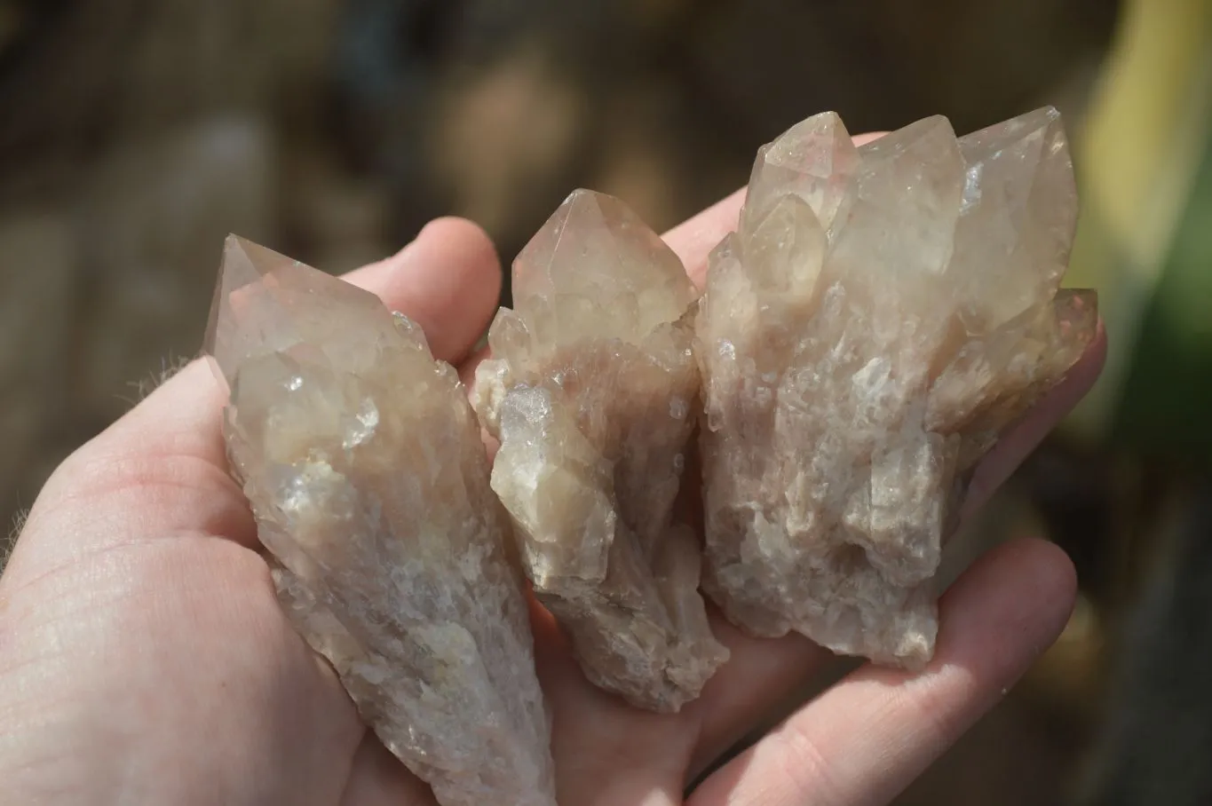 Natural White Phantom Smokey Quartz Crystal Specimens x 12 From Luena, Congo