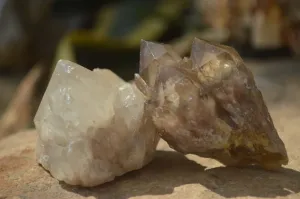 Natural White Phantom Smokey Quartz Crystal Specimens x 12 From Luena, Congo