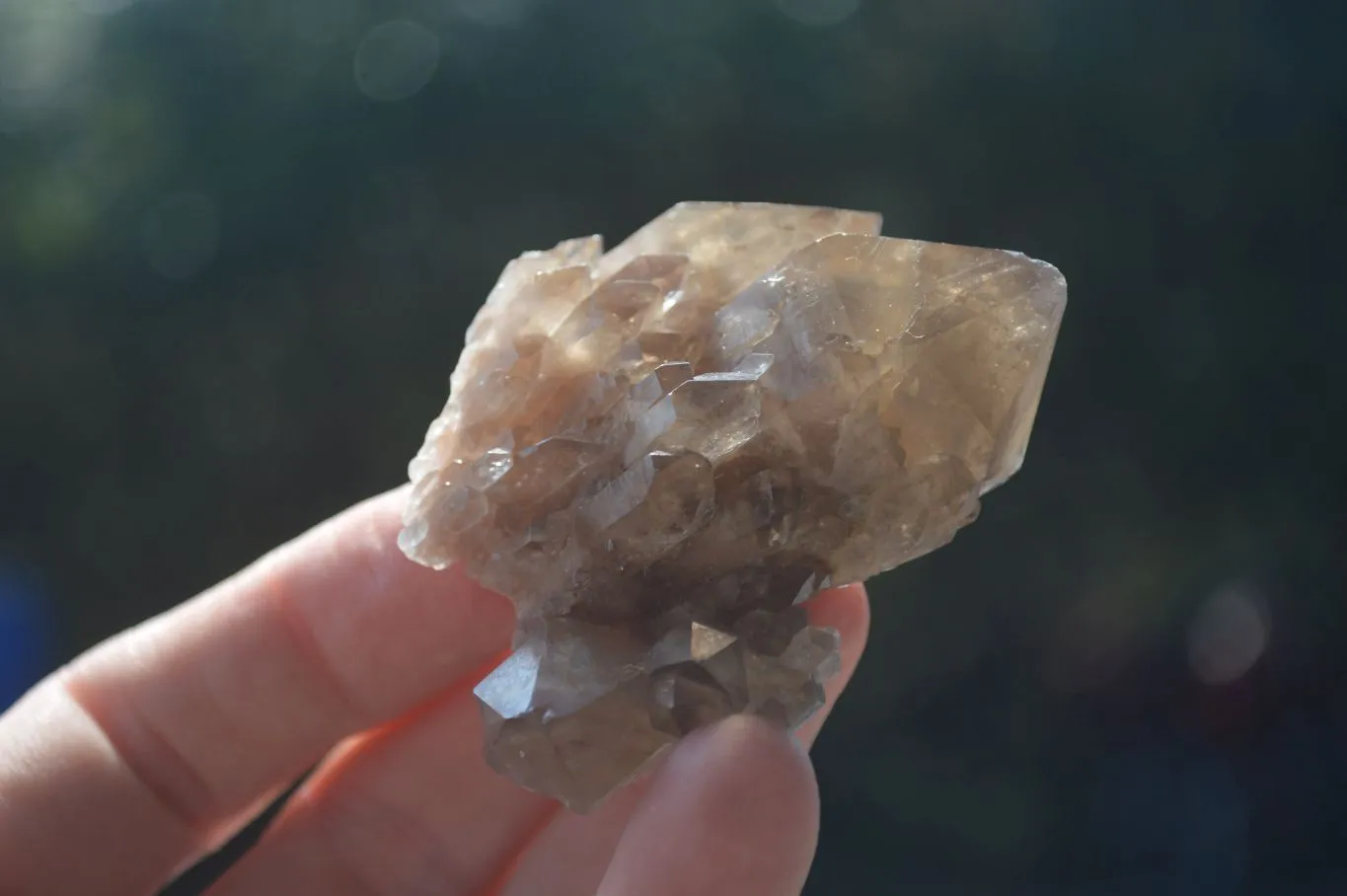 Natural White Phantom Smokey Quartz Crystal Specimens x 12 From Luena, Congo
