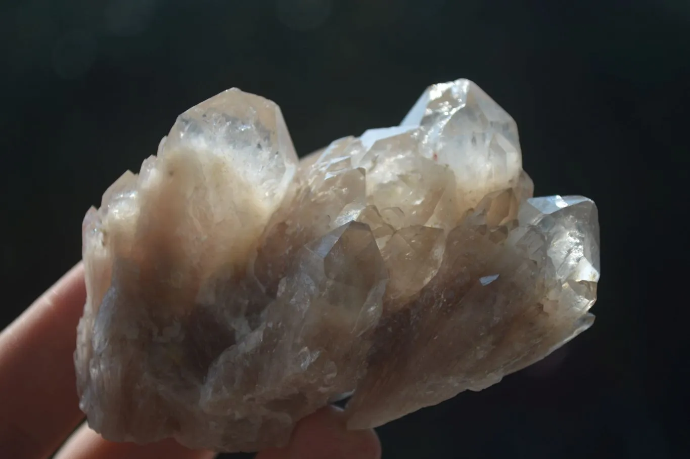 Natural White Phantom Smokey Quartz Crystal Specimens x 12 From Luena, Congo
