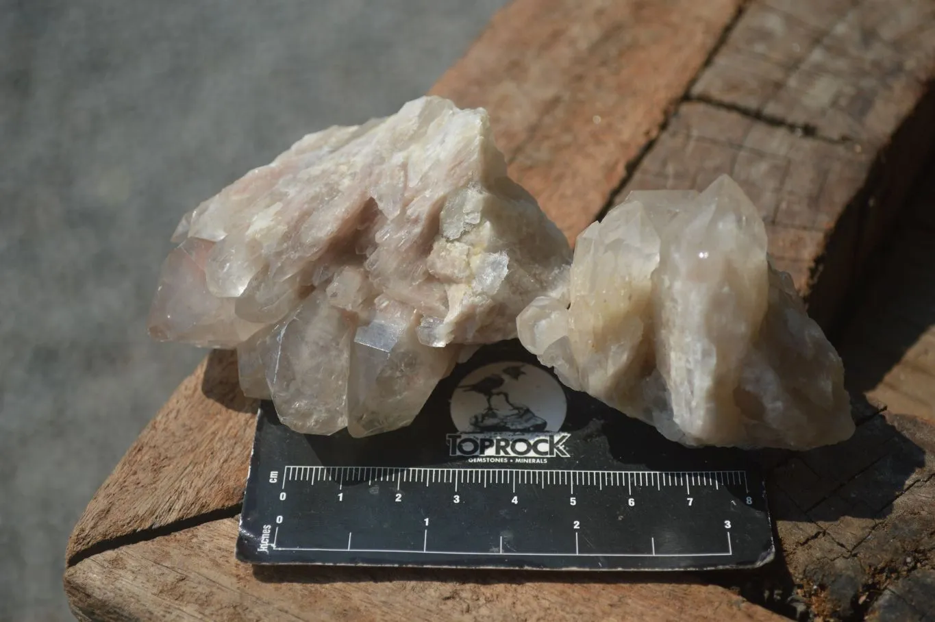 Natural White Phantom Smokey Quartz Crystal Specimens x 12 From Luena, Congo