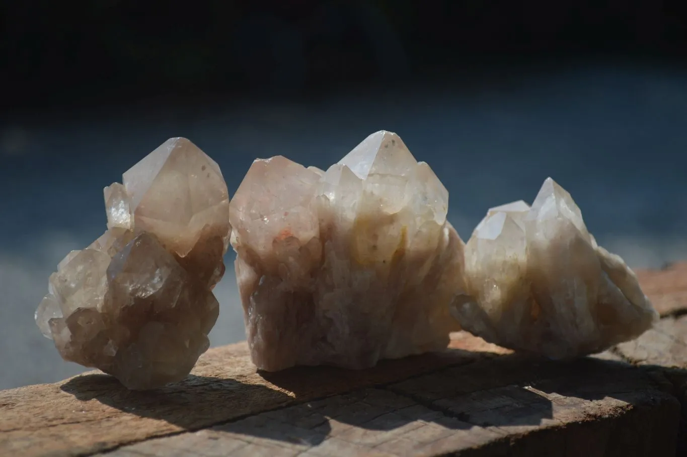 Natural White Phantom Smokey Quartz Crystal Specimens x 12 From Luena, Congo