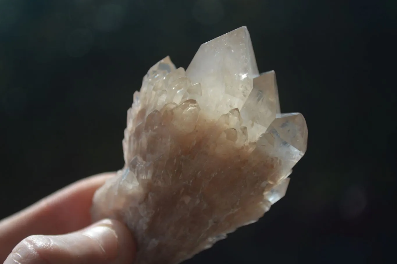 Natural White Phantom Smokey Quartz Crystal Specimens x 12 From Luena, Congo
