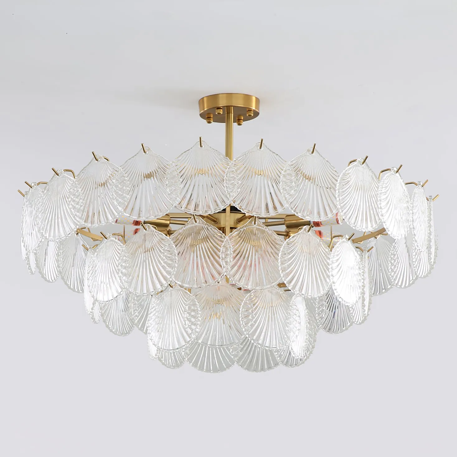 Shell Glass chandelier