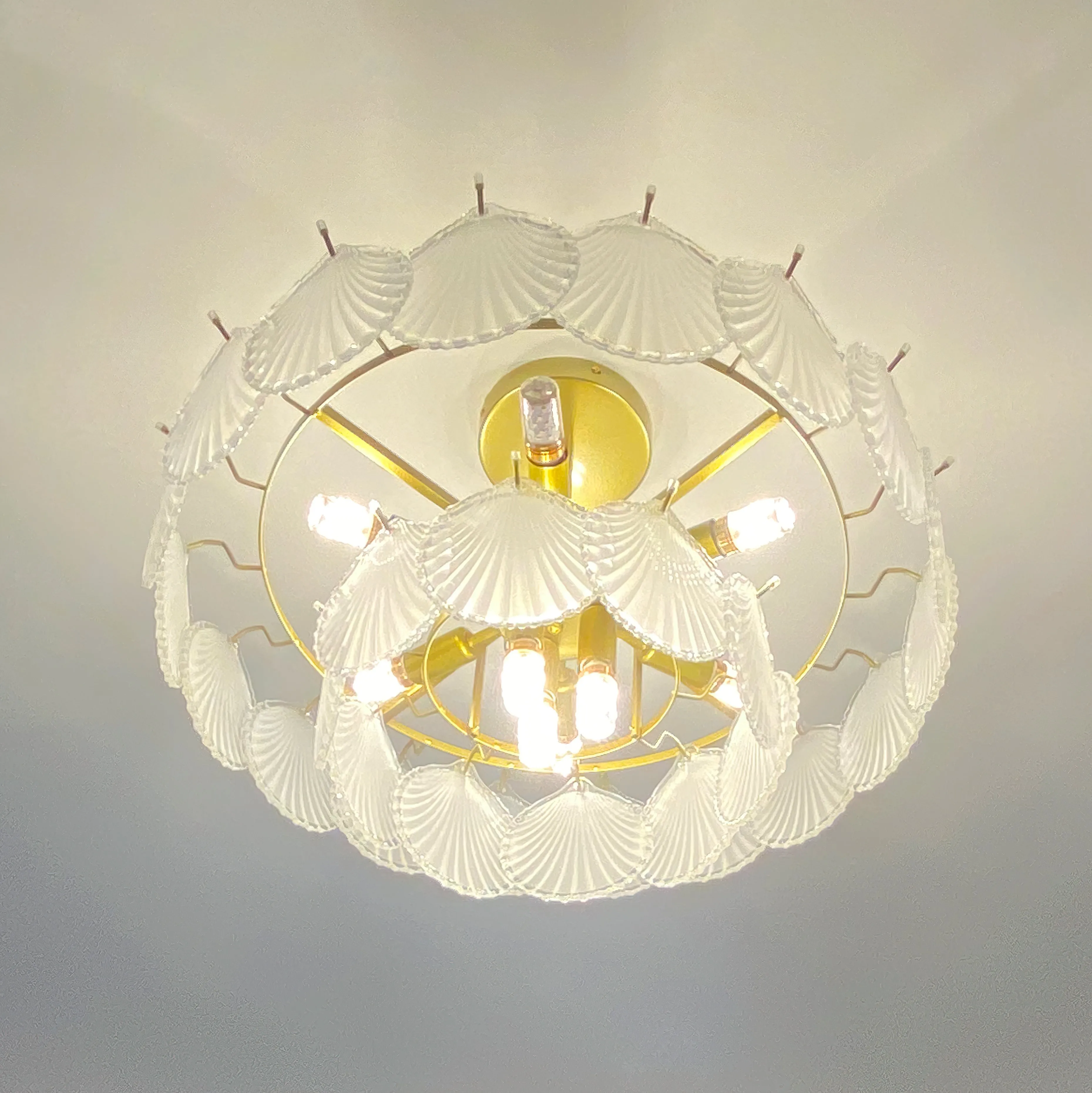 Shell Glass chandelier