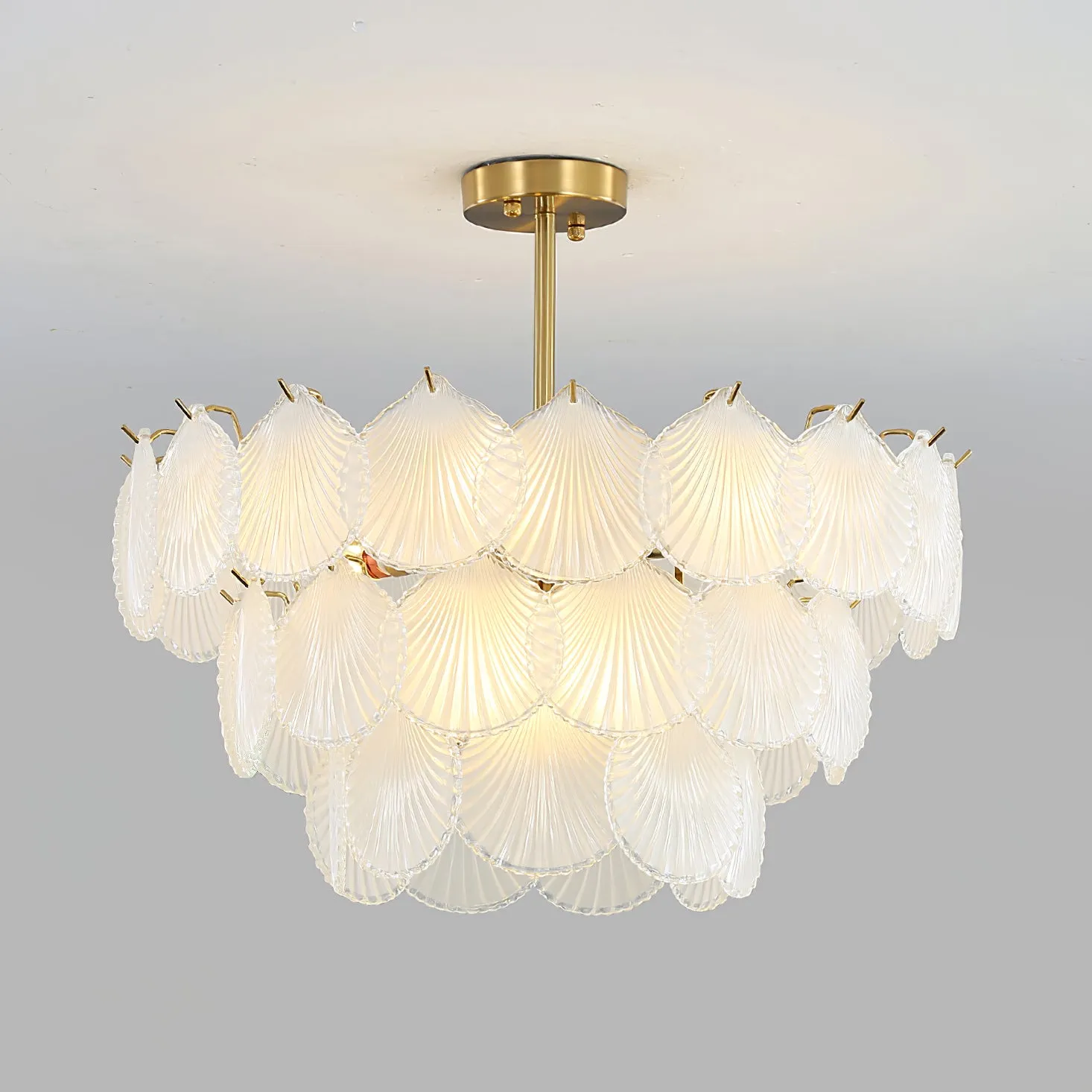 Shell Glass chandelier
